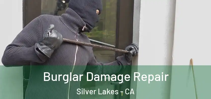  Burglar Damage Repair Silver Lakes - CA