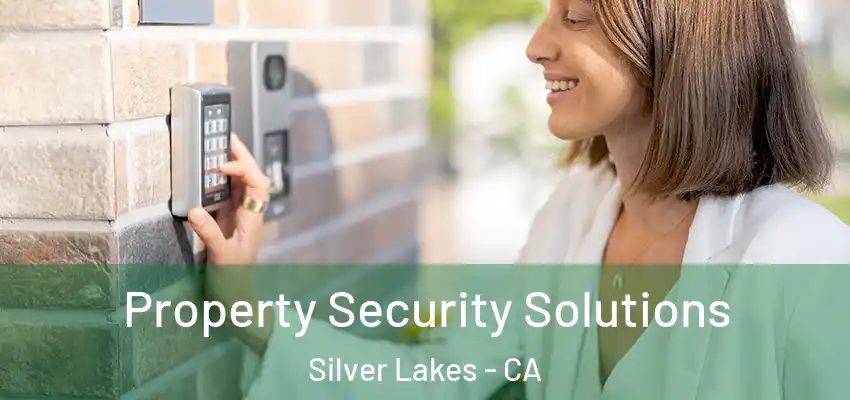  Property Security Solutions Silver Lakes - CA